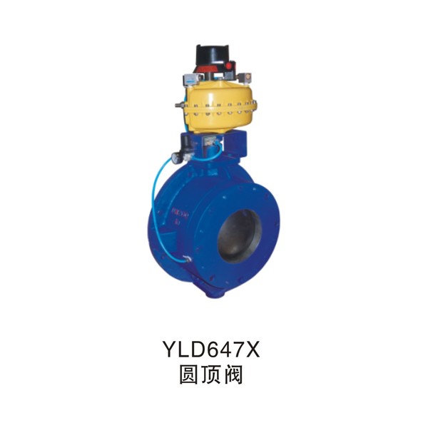 YLD647X dome valve